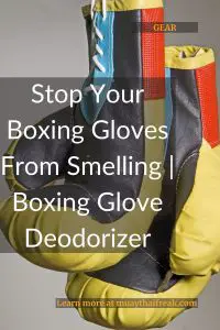 Boxing Glove Deodorizer