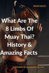 What Are The 8 Limbs Of Muay Thai