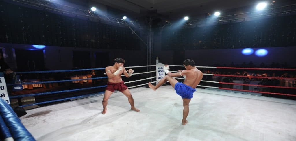 muay thai stance fight
