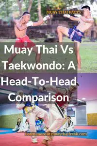 muay thai vs taekwondo