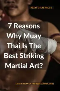 best striking martial art muay thai