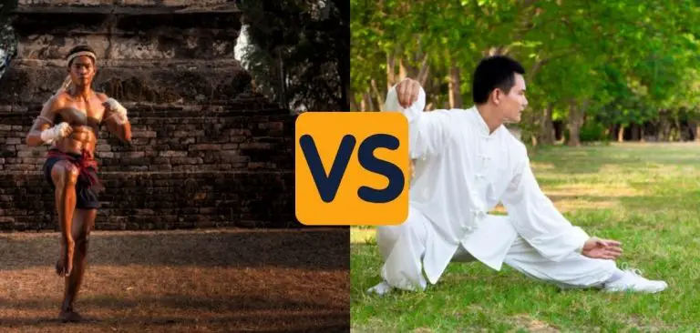 muay thai vs kung fu comparison