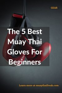 best muay thai gloves for beginners