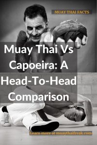 muay thai vs capoeira
