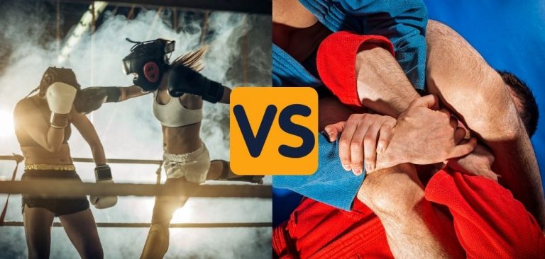 muay thai vs combat sambo comparison