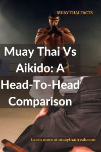 muay thai vs aikido