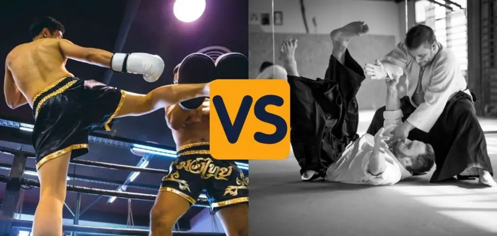 muay thai vs aikido comparison