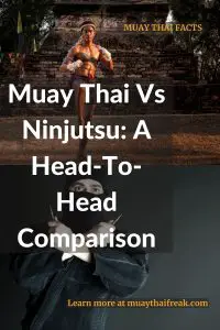 muay thai vs ninjutsu
