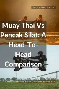 muay thai vs pencak silat